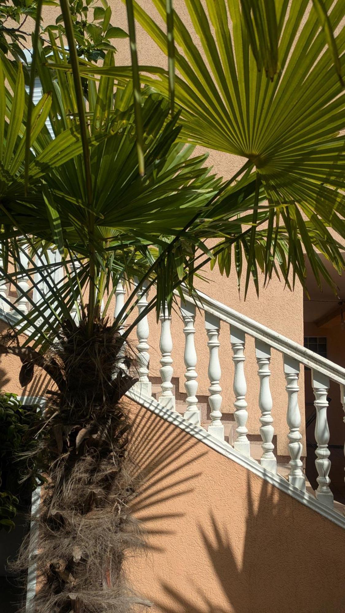 Apartments Montenegrina Улцинь Екстер'єр фото